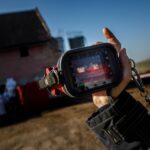 Pokračuje likvidace chovu s ptačí chřipkou
