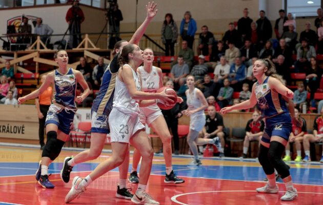 Lvice dovezly z Chomutova skvělý výsledek, Levhartice porazily 85:69