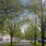 Fotogenický Hradec Králové