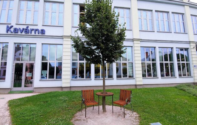 Lavička Václava Havla, upomínka demokracie, po renovaci opět u knihovny