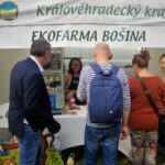 13. ročník Hradeckého koštýře