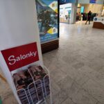 Promo lednového magazínu Salonky