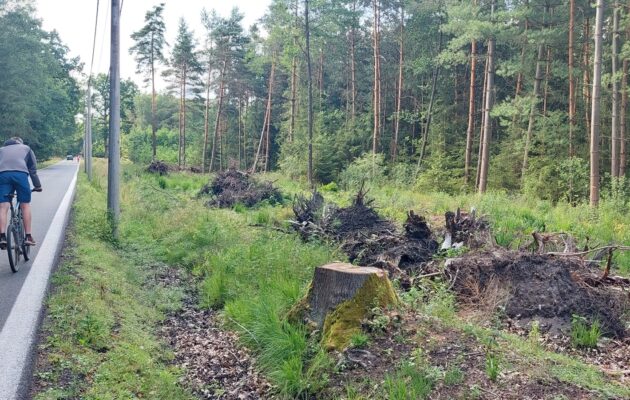 Cyklostezka k Lesnímu hřbitovu bude hotová nejdřív v roce 2025