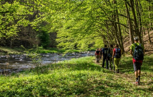 Klub turistů obnoví letos v hradeckém kraji stovky kilometrů tras