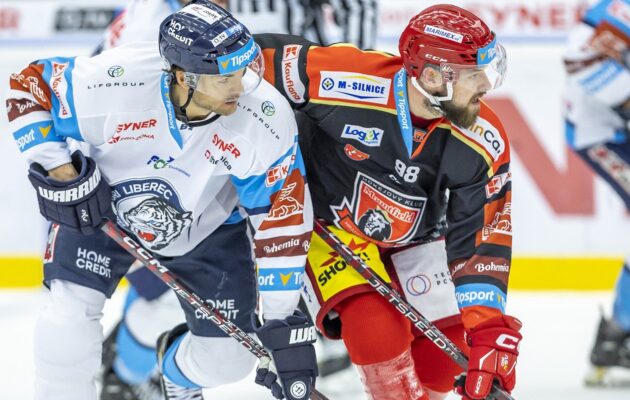 Duel o přiblížení se sedmičce Lvi nezvládli. Liberec udeřil už v první třetině
