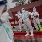 Třídení likvidace chovu s ptačí chřipkou