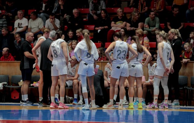 Lvice x Chomutov