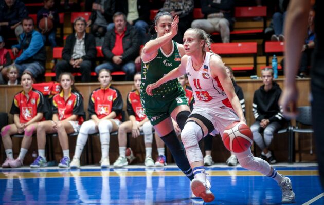 Lvice se na vítězství ve Strakonicích pořádně nadřely
