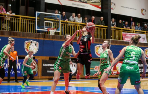 Lvice to dokázaly! Těsné vítězství v závěru uhájily, postupují do semifinále