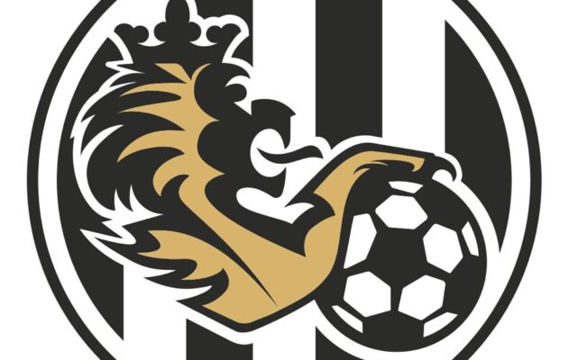 Jednání mezi městem a firmou Fotbal HK 1905 začala. Pokračovat budou 25. dubna