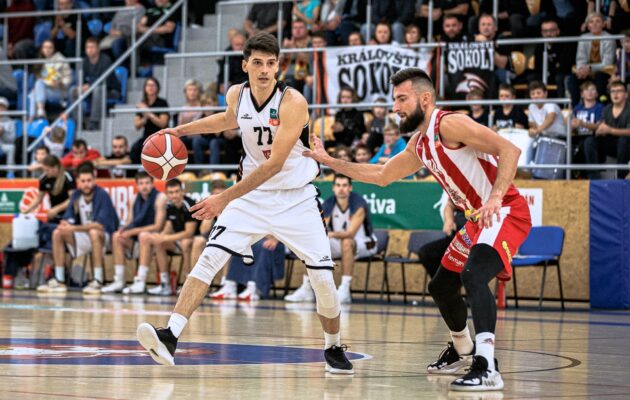 Jen v sedmi. Královští sokoli vzdorovali soupeři. Drželi se statečně