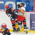 Mountfield HK — HC Verva Litvínov