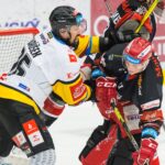 Mountfield HK — HC Verva Litvínov
