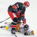 Mountfield HK — HC Verva Litvínov (2)