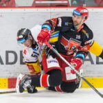 Mountfield HK — HC Verva Litvínov (2)