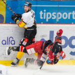 Mountfield HK — HC Verva Litvínov (2)