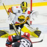 Mountfield HK — HC Verva Litvínov (2)