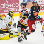 Mountfield HK — HC Verva Litvínov (2)