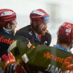 Mountfield HK — HC Verva Litvínov (2)