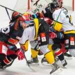 Mountfield HK — HC Verva Litvínov (2)