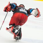 Mountfield HK — HC Verva Litvínov (2)