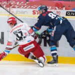 Bílí Tygři Liberec — Mountfield HK (1)