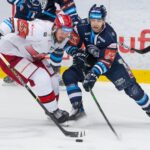 Bílí Tygři Liberec — Mountfield HK (1)