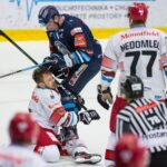 Bílí Tygři Liberec — Mountfield HK (1)