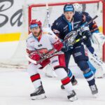 Bílí Tygři Liberec — Mountfield HK (1)