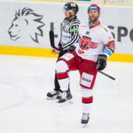 Bílí Tygři Liberec — Mountfield HK (1)