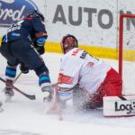 Bílí Tygři Liberec — Mountfield HK (1)