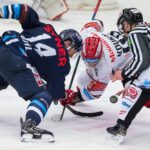 Bílí Tygři Liberec — Mountfield HK (1)