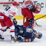 Bílí Tygři Liberec — Mountfield HK (1)