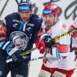 Bílí Tygři Liberec — Mountfield HK (1)