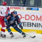Bílí Tygři Liberec — Mountfield HK (1)
