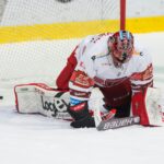 Bílí Tygři Liberec — Mountfield HK (1)