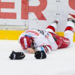 Bílí Tygři Liberec — Mountfield HK (1)