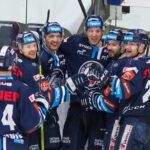 Bílí Tygři Liberec — Mountfield HK (1)