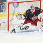 Mountfield HK — HC Sparta Praha