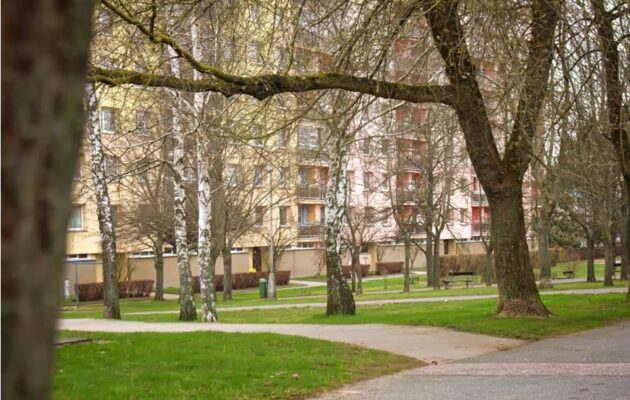 Během března půjde k zemi 50 stromů. Ustoupit musí teplovodu