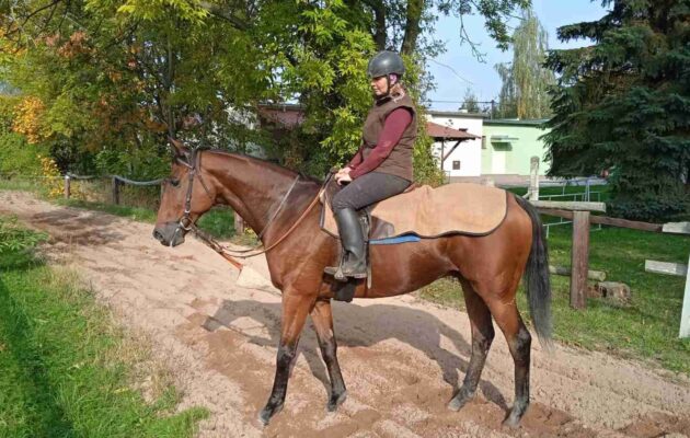 Hradecké želízko ve Velké pardubické: trenér Vítek a Chicname De Cotte
