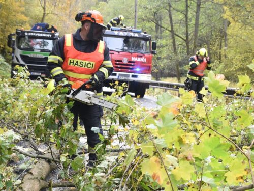 Výpadky elektřiny kvůli silnému větru zasáhly tisíce domácností v kraji