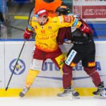 Hradec Králové - Sparta Praha (Foto: Stanislav Souček/Mountfield HK)
