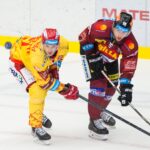 Hradec Králové - Sparta Praha (Foto: Stanislav Souček/Mountfield HK)