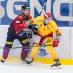 Hradec Králové - Sparta Praha (Foto: Stanislav Souček/Mountfield HK)