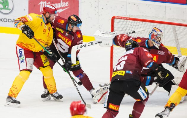 Hradec Králové - Sparta Praha (Foto: Stanislav Souček/Mountfield HK)