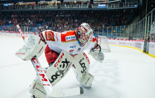 Kiviaho bezchybný. Mountfield udolal Litvínov na konci