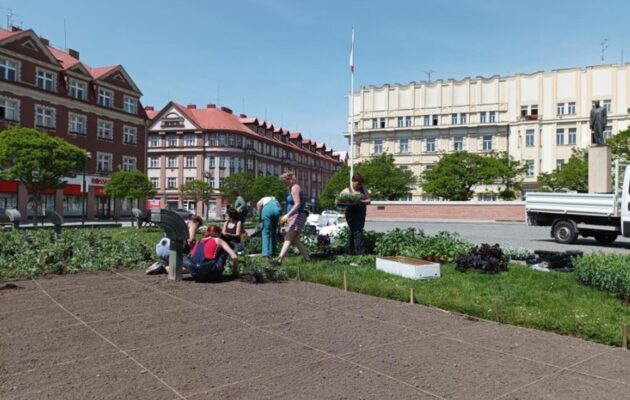 V Hradci začala výsadba letniček. Ozdobí sady, náměstí i hřbitovy