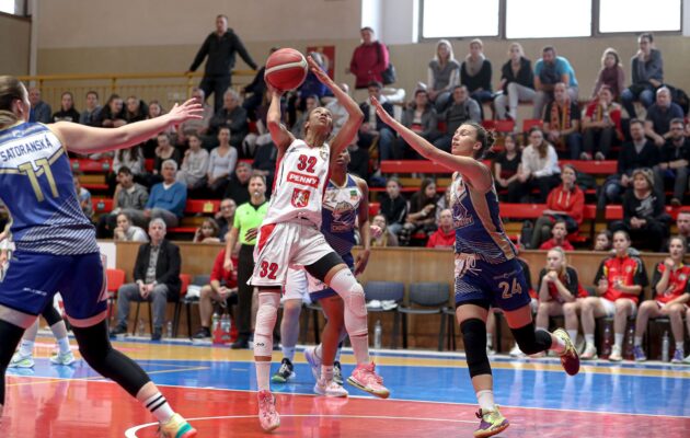 Série o bronz se vrací do Hradce! Lvice zdolaly levhartice 69:63