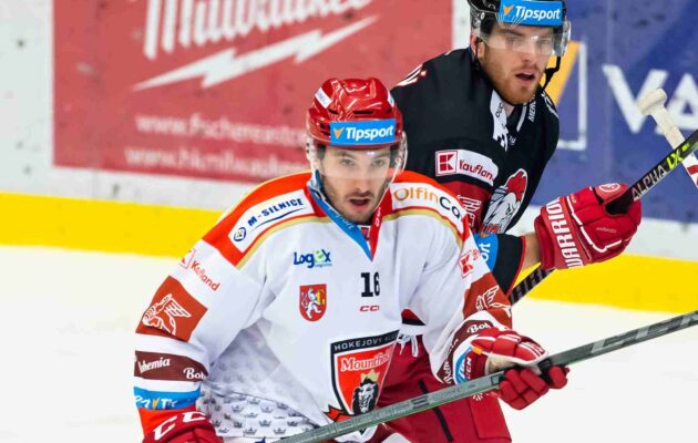 Dostali jsme góly po chybách, řekl k derby Štohanzl. Teď na Tygry
